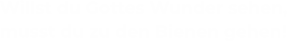 Willst du Gottes Wunder sehen, musst du zu den Bienen gehen!