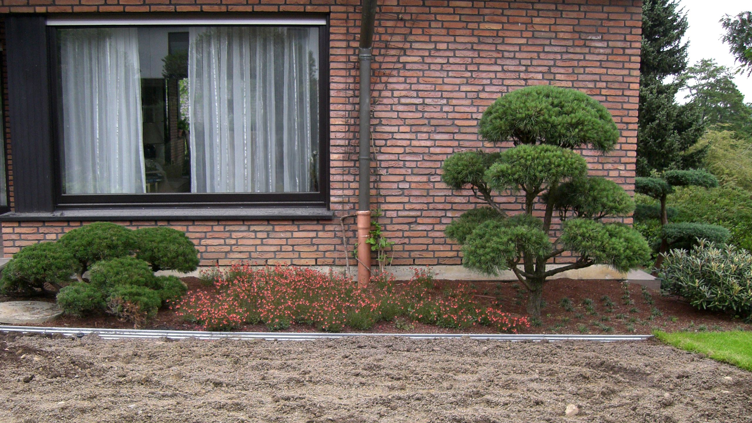 Bepflanzung eines Vorgartens