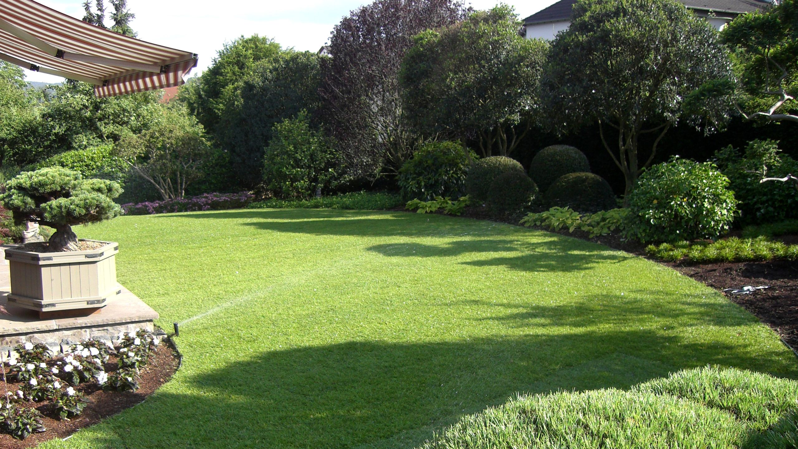 Gartenfläche