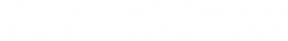 Willst du Gottes Wunder sehen, musst du zu den Bienen gehen!